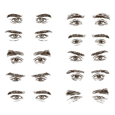 Vector part of the male person s eyes and eyebrows. clipart