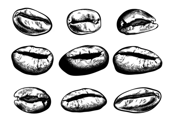 Set di chicchi di caffè fatti a mano. Illustrazione vettoriale — Vettoriale Stock