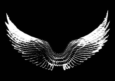 Vintage vektör kanatları beyaz arka plan üzerinde. EPS 10