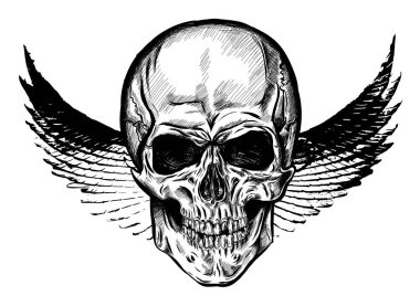 Elle çizilmiş kanatlı kafatası. Vektör çizim Eps 10