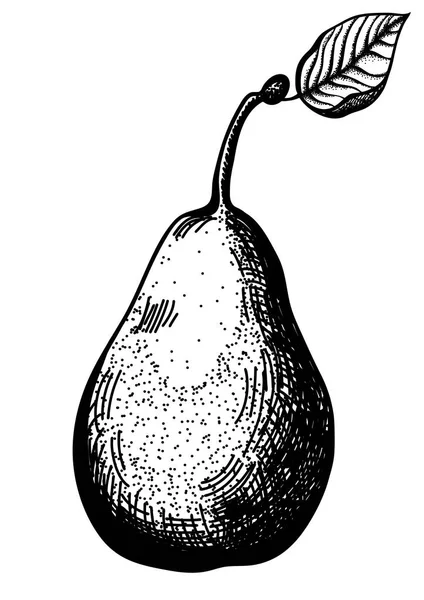 Pear in chocolate on a background. Vektor - Stok Vektor