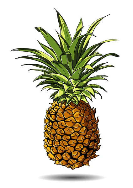 Vektor illustration av en ananas isolerad på en vit bakgrund — Stock vektor