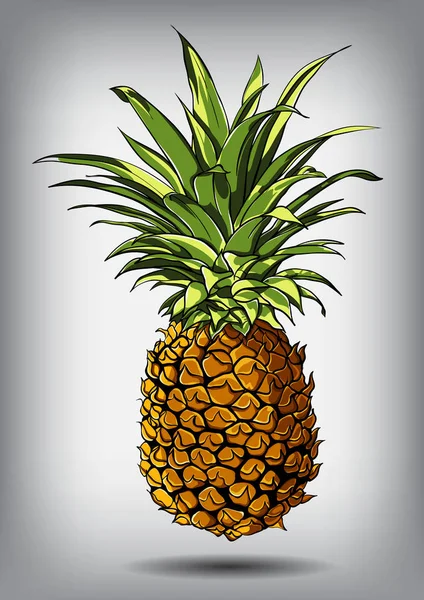 Vektor illustration av en ananas isolerad på en vit bakgrund — Stock vektor