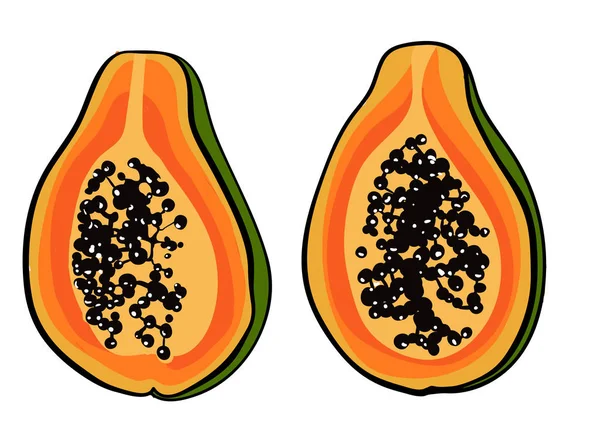 Illustrazione tropicale con papaya. Stampa vettoriale con frutta esotica . — Vettoriale Stock