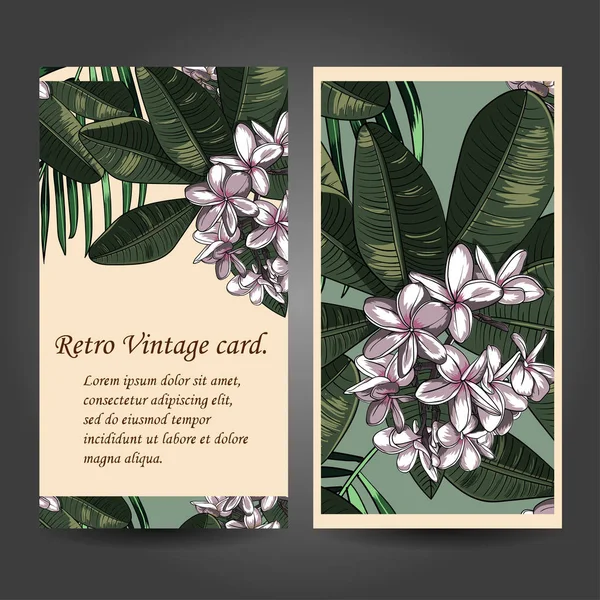 Patrón sin costura con plumeria Flores y Frangipani . — Vector de stock