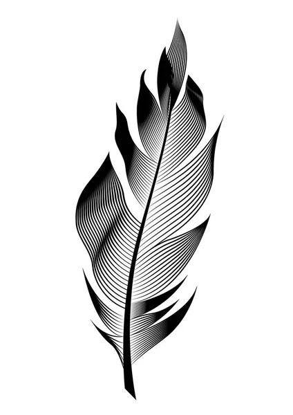 Pluma de ave estilizada vectorial. Objeto lineal para decoración . — Vector de stock