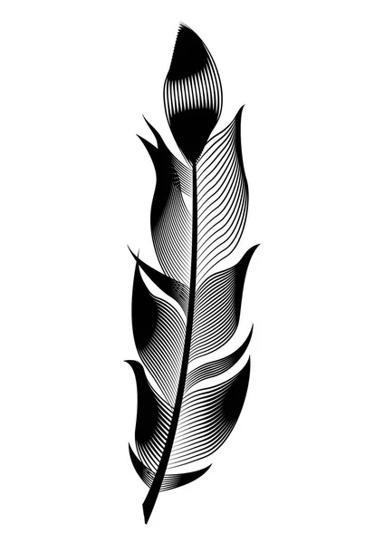 Векторне стилізоване пташине перо. Лінійний об'єкт для оздоблення . — стоковий вектор