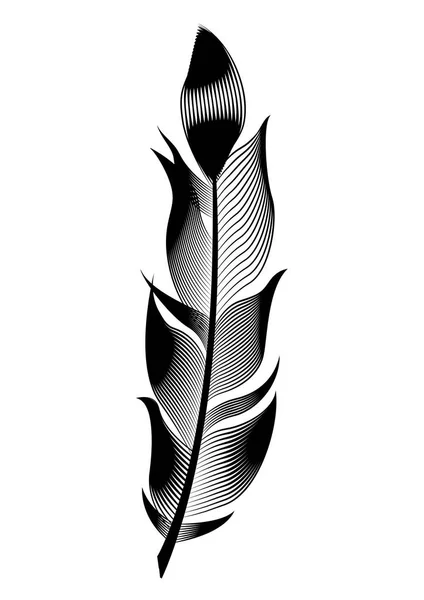 Pluma de ave estilizada vectorial. Objeto lineal para decoración . — Vector de stock