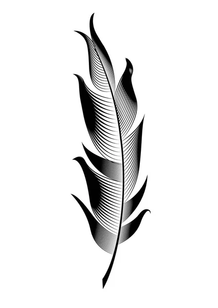 Vector gestileerde vogel veren. Lineaire object voor decoratie. — Stockvector