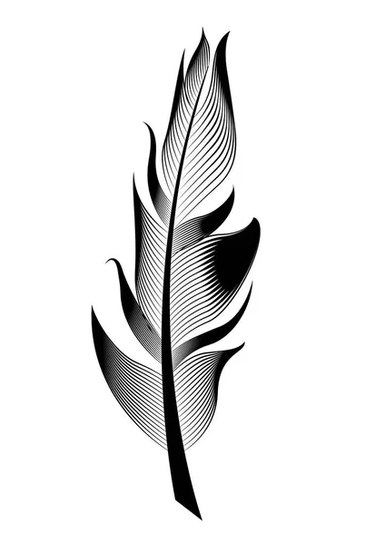 Pluma de ave estilizada vectorial. Objeto lineal para decoración . — Vector de stock