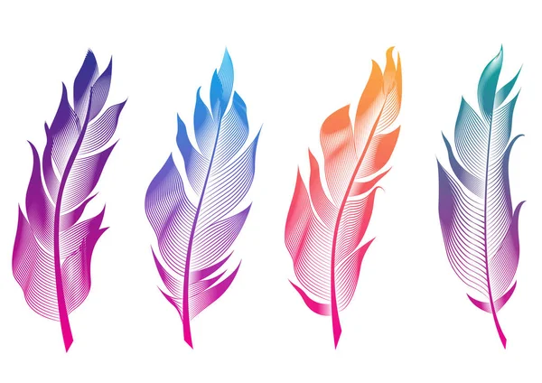 Векторный набор стилизованных перьев птиц. Линейная коллекция для украшения . — стоковый вектор