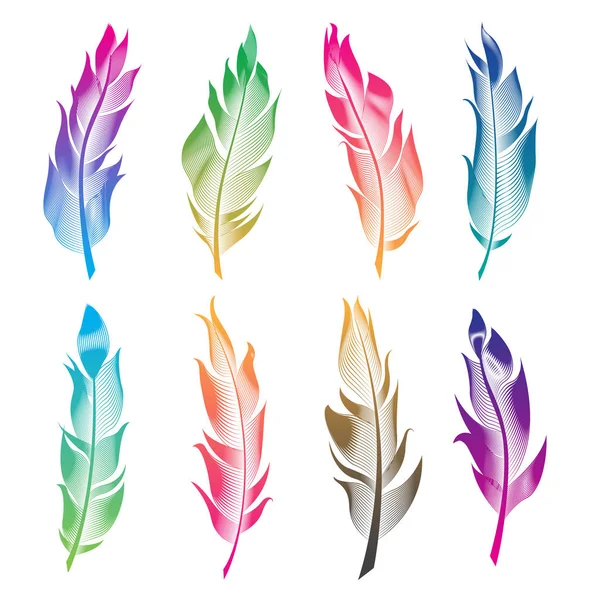 Conjunto vectorial de plumas estilizadas de aves. Colección lineal para decoración . — Vector de stock