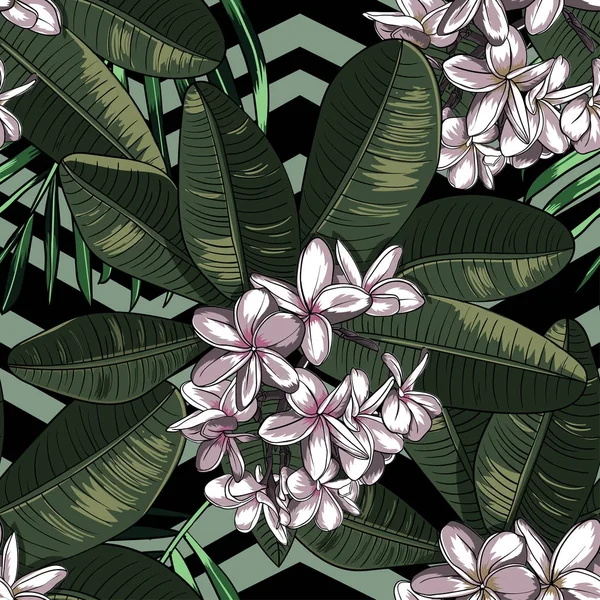 Modèle sans couture avec des fleurs plumeria . — Image vectorielle