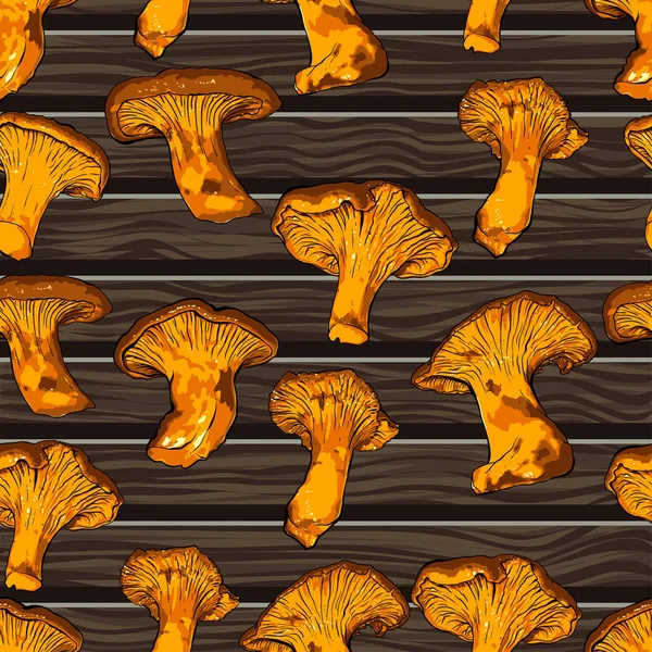 Ilustração vetorial de vários fungos Chanterelle . — Vetor de Stock