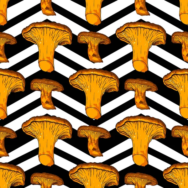 Vector illustration of various fungi Chanterelle — Stock Vector