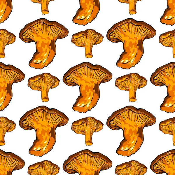 Ilustração vetorial de vários fungos Chanterelle — Vetor de Stock