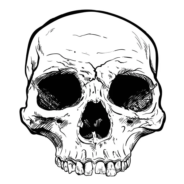 Calavera humana Vector Art. ilustración dibujada a mano . — Archivo Imágenes Vectoriales