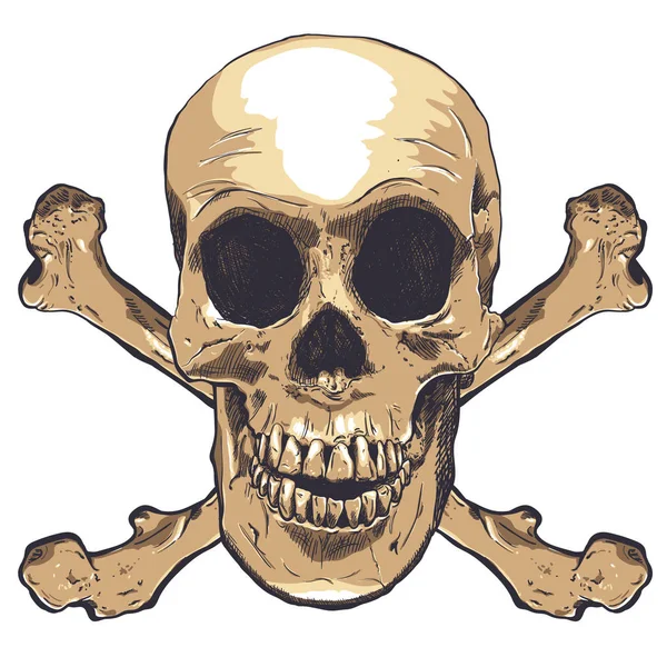 Crâne humain vecteur Art. Illustration dessinée main . — Image vectorielle