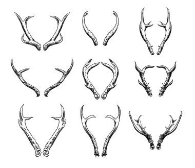 Elle çizilmiş geyik boynuzları beyaz arka plan üzerinde siyah set.