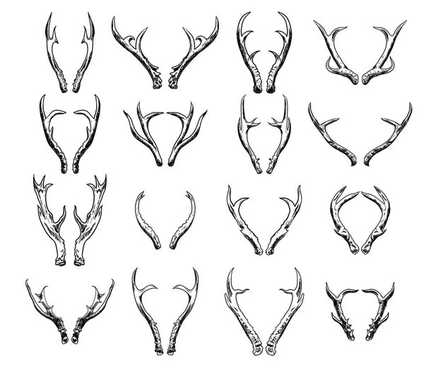 Elle çizilmiş geyik boynuzları beyaz arka plan üzerinde siyah set.