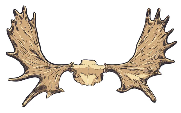 Elle çizilmiş geyik Horns.Vector Eps resmi