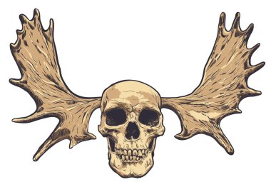 El geyik boynuzları arka plan üzerinde çizilmiş kafatası. Vektör