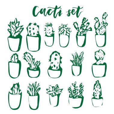 Kaktüs ve etli çizilmiş seti ver. Tencere geometrik çiçeklenir. Vektör renkli sevimli iç karanfiller