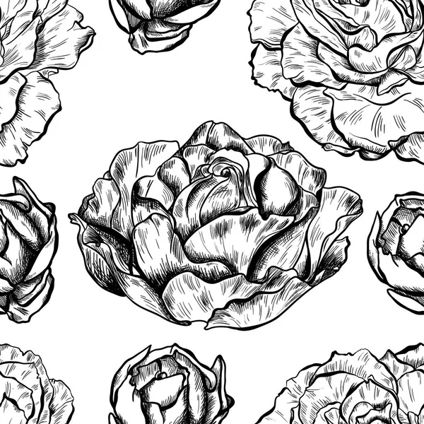 Modello senza cuciture di rose disegnate a mano altamente dettagliate isolate su sfondo bianco. Vettore — Vettoriale Stock