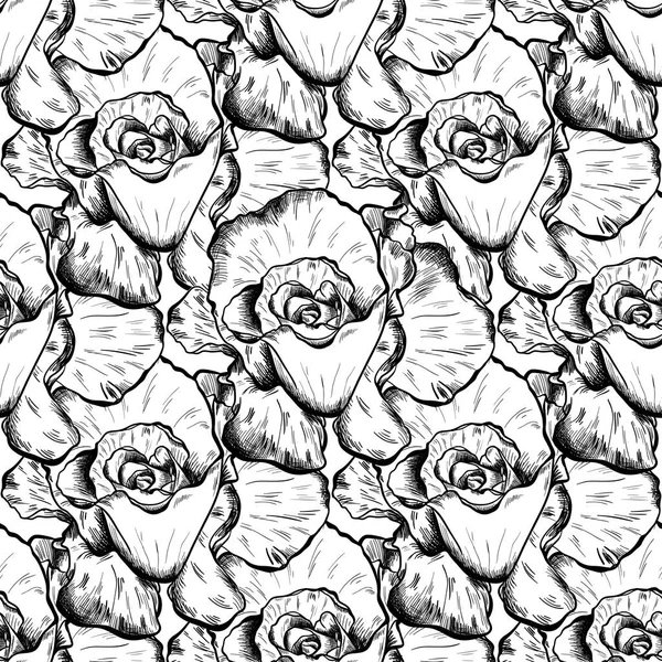 Seamless pattern of highly detailed hand drawn roses isolated on white background. Vector — Stock Vector