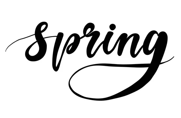 Logo de diseño de letras de primavera. Elemento tipográfico decorativo . — Vector de stock