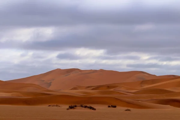 Prachtig uitzicht op de zandduinen innamib woestijn. Artistiek beeld. — Stockfoto