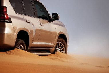 Walvis Körfezi 'nde çölün altın kumları üzerinde off-road safarisi. Namibya.