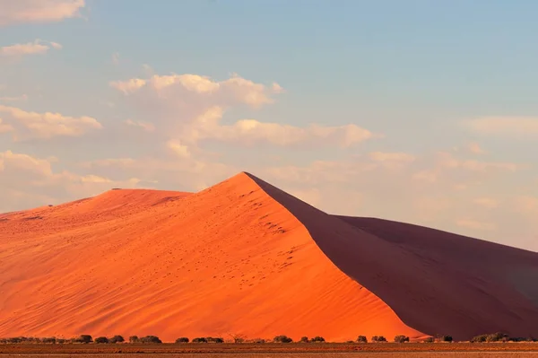 Die Berühmte Rote Sanddüne Sossusvlei Afrika Wüste Namib — Stockfoto