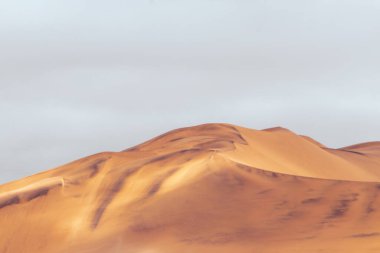 Namib Çölü 'ndeki kum tepelerinin muhteşem manzarası. Sanatsal resim. Güzellik dünyası.