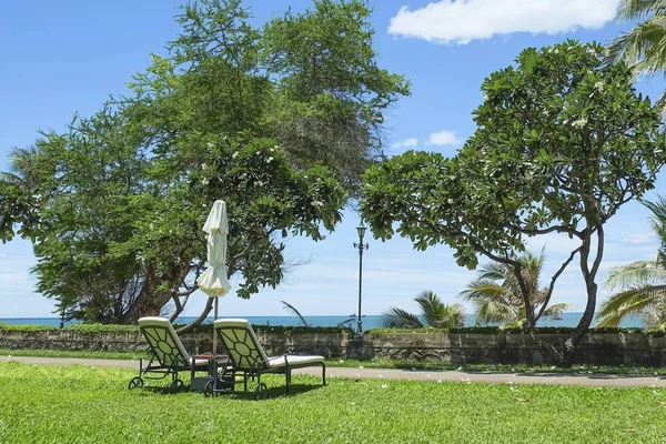 空荡荡的甲板椅子和雨伞 在夏日的阳光下 在绿草草坪上俯瞰宁静的大海 为顾客准备好了 度假海滩背景 — 图库照片
