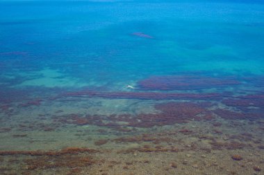 Bir adam denizde yüzüyor.