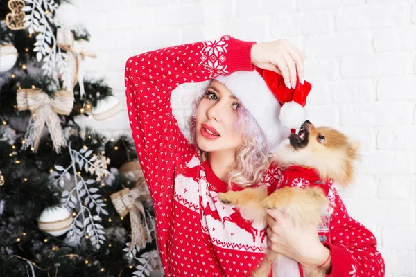 Красивая Счастливая Женщина Собачкой Рождественской Шляпе Фоне Новогодней Елки — стоковое фото