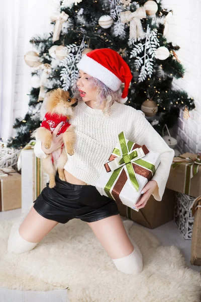 Beautiful Happy Woman Holding Christmas Present Little Dog Background New — Stock Photo, Image