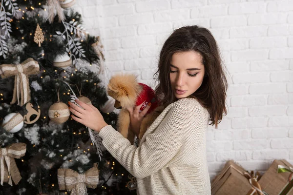 プレゼントやクリスマスツリーとクリスマスボックスの背景に小さな犬と美しい幸せな女性 — ストック写真