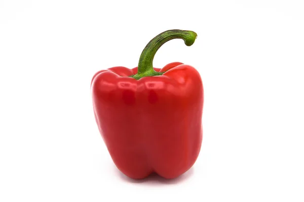 Bright Red Organic Pepper Isolated White Background — Stock Photo, Image