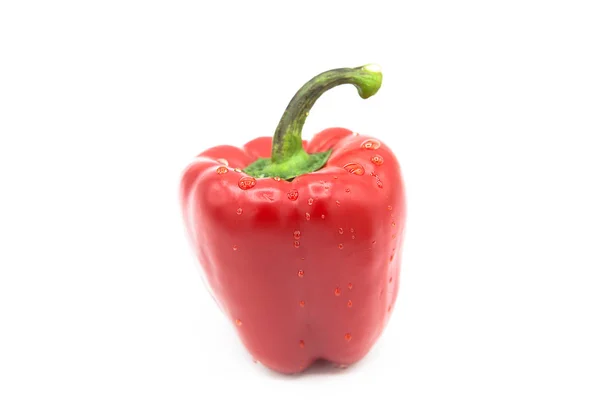 Heldere Rode Verse Biologische Peper Druppels Dauw Geïsoleerd Een Witte — Stockfoto