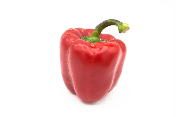 Heldere Rode Verse Biologische Peper Druppels Dauw Geïsoleerd Een Witte — Stockfoto