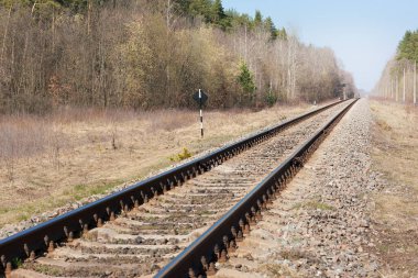 Ormanda yol işaretleri olan demiryolu.