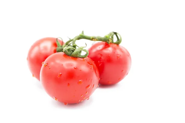 Reife Frische Bio Tomaten Auf Einem Zweig Tautropfen Isoliert Auf — Stockfoto