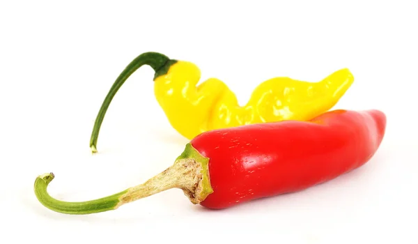 Chili peppers papryczki Chilli peppers Obrazy Stockowe bez tantiem