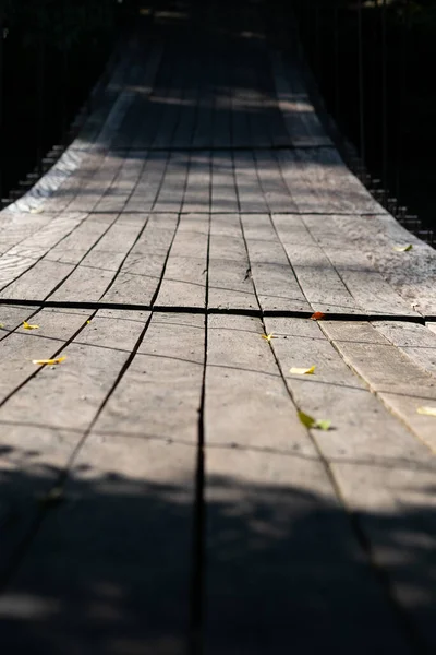 Ponte de suspensão na floresta — Fotografia de Stock