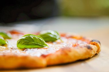 Peynirli pizza. Lezzetli taze. Pizza margarita, Homemead.