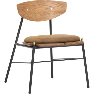 Kahverengi arka planlı yemek sandalyesi, Sandalye Yemeği, Erkek Lokantası - Tamamen döşenmiş, Sandalye Bentwood Yemek Sandalyesi, 124; Batı Karaağaç