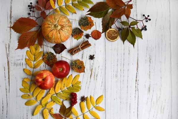 Autumn composition of apples, pumpkins, leaves and cinnamon sticks on a light wooden background — Stock Photo, Image