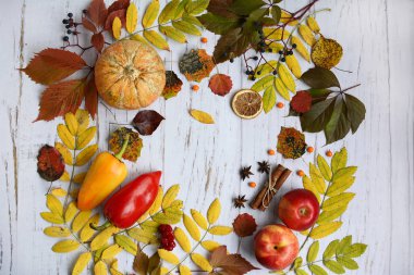 Kabak, elma, biber, yaprak, tarçın ve böğürtlenlerden oluşan sonbahar dairesel planı